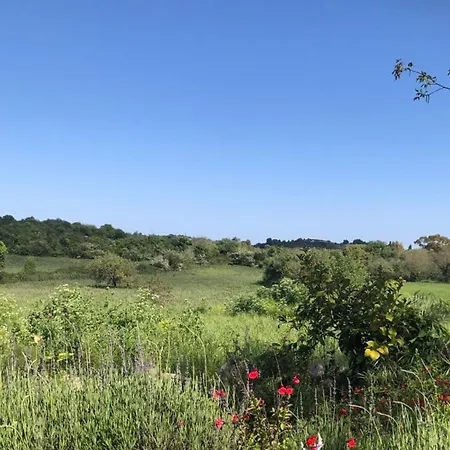 Homestay szállás Aguglia Persa - Double Noto
