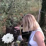 Pansiyon Aguglia Persa - Double Noto