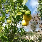 Aguglia Persa - Double Pansiyon Noto
