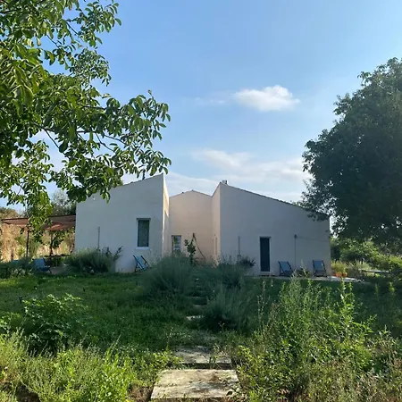 Aguglia Persa 2